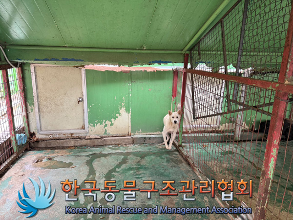한국동물구조관리협회_441406202401897